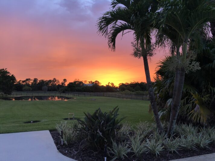 2018-07-07 20.16.26 copy