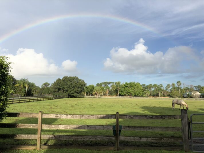 2018-09-02 08.12.50-1