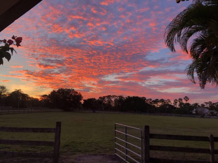 2018-12-17 17.41.33 HDR