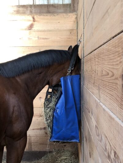 DA818678-2AEA-430B-8FE7-9CD001823266