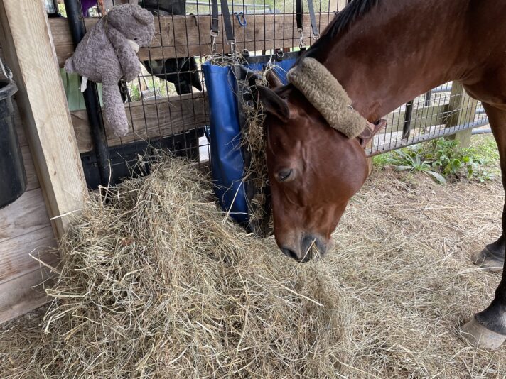 4EA7D8C8-C083-405F-BB64-73C7092E586C