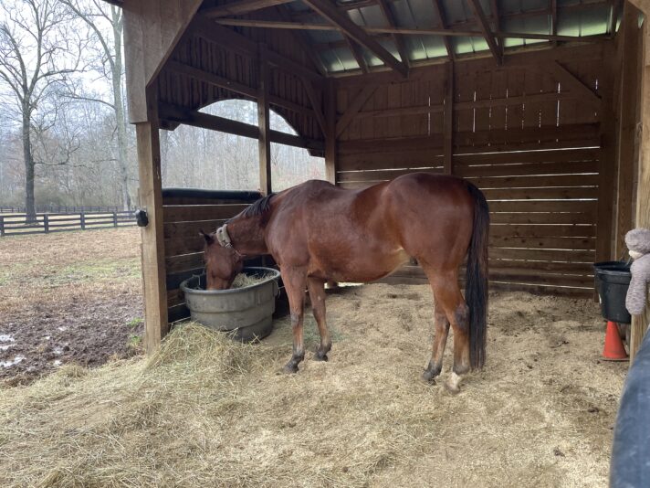 7930564F-04FA-4ABA-BEA3-ECF5C55BB038