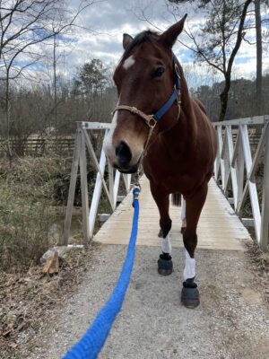 29201EC1-5926-48F6-986B-AFB05F3E0275