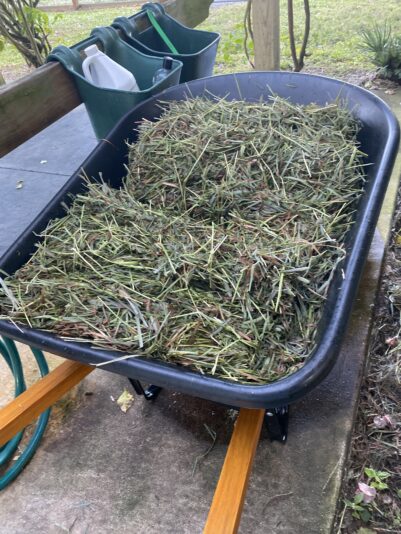 66230286585__65B55CA7-B74B-4FD6-8F36-4F4AD0D9D534