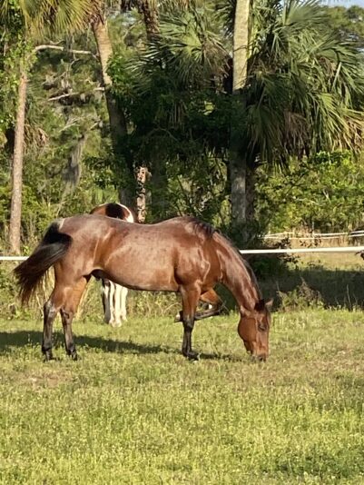 BF828421-AF38-4AD5-AE5F-3F9F819E77D7