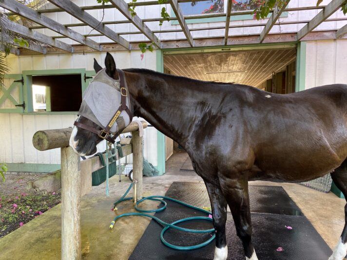 66852475194__CC269C19-D35C-4C68-9697-19B274EB2702