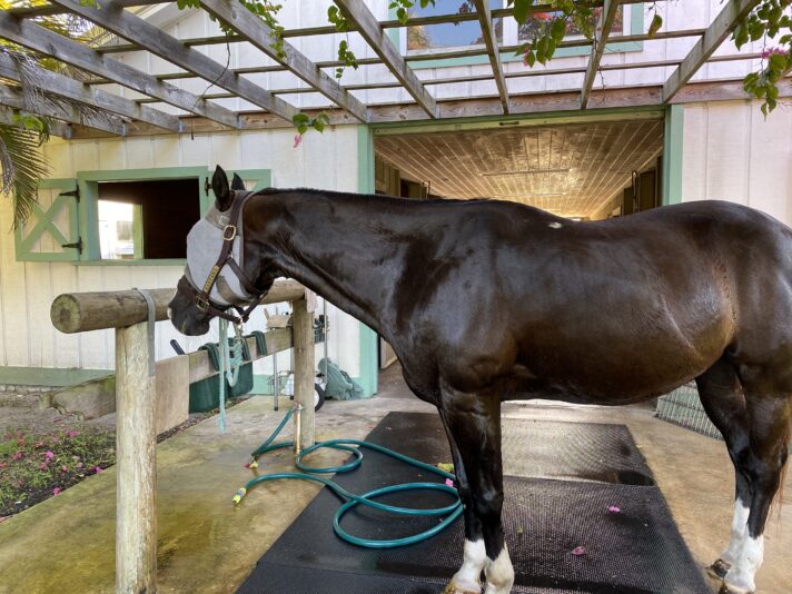 66852478845__1D83D056-033C-49AC-BA8C-6608123DF05D