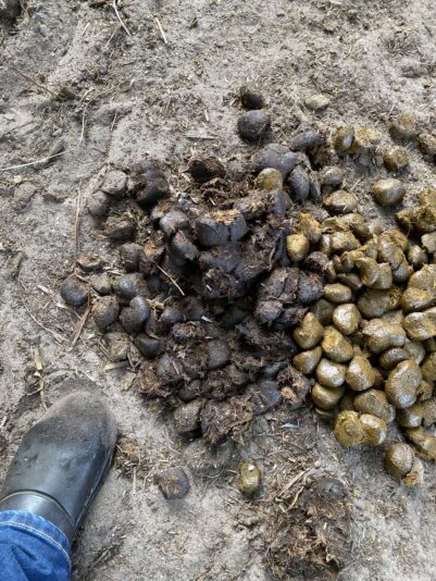 67102751326__046C3376-4DDC-43C2-9249-98D598223A1C