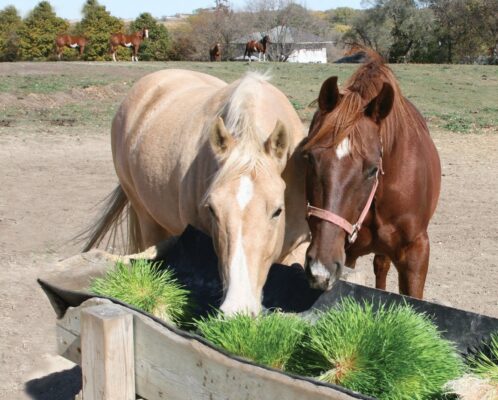 777F806B-429C-44BE-B179-30EC2E6988BC