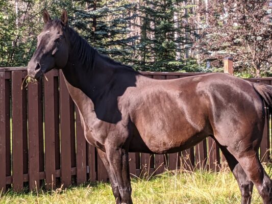 .trashed-1634767901-PXL_20210808_162114619