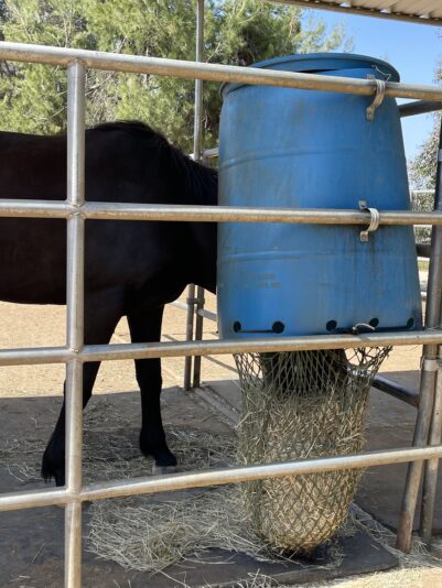 548E228B-719C-4D80-8EB0-282AF8BCFC5B