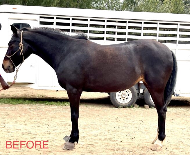 E5407BD7-8BDE-4B28-8F17-3E99E42D970F