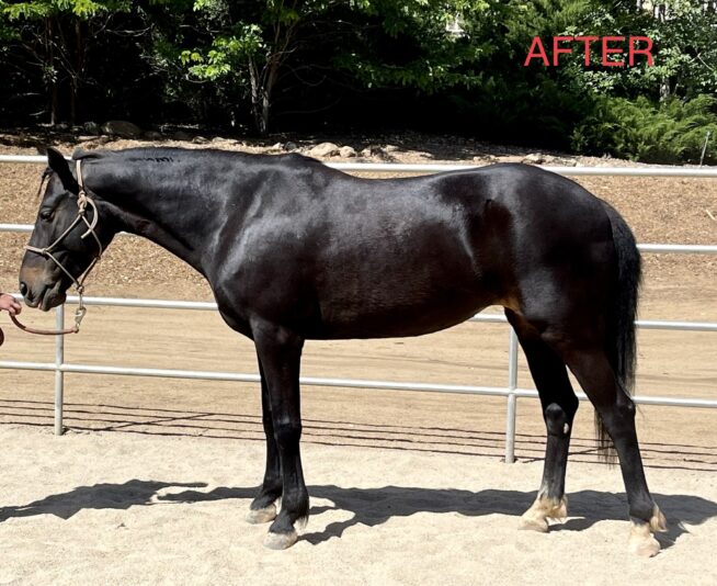 B14D4DC7-1A16-483A-BE24-C1467786186B