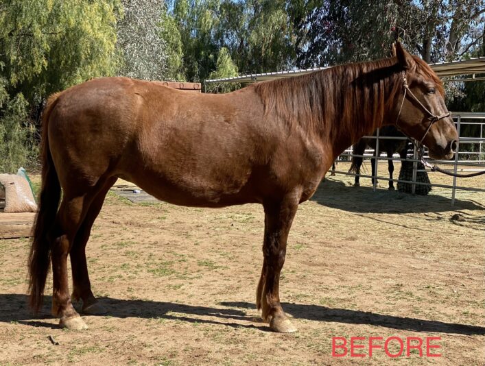 23333CF8-A39C-4C6D-B792-0881E9BAA485