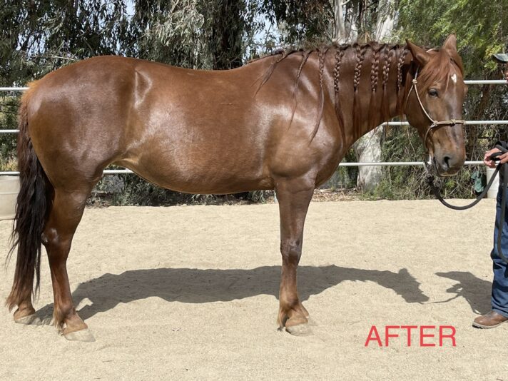 14D95C59-F94C-4849-B377-CF1A507ADA2E