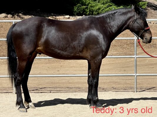 925F2012-C9A0-4A7E-9189-6DC93D15ADC9