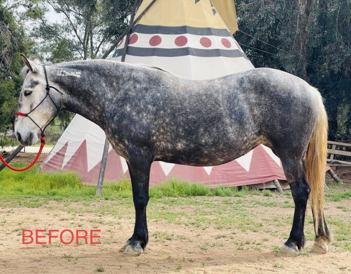 2606B900-82D1-41A8-A97D-878FE88B5CEC