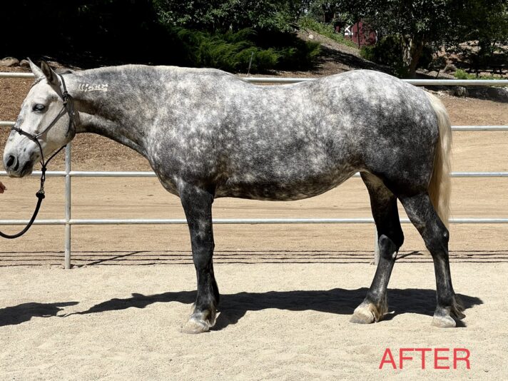 1BDF94A9-7BC7-4172-8369-784AEF646088