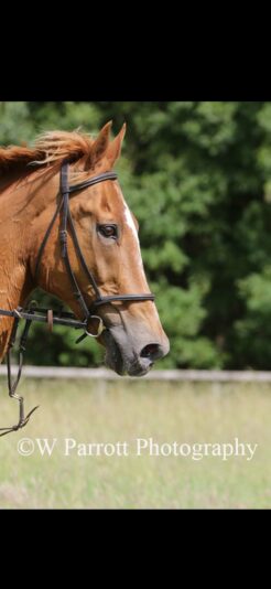 Screenshot_20200623-205830_Gmail