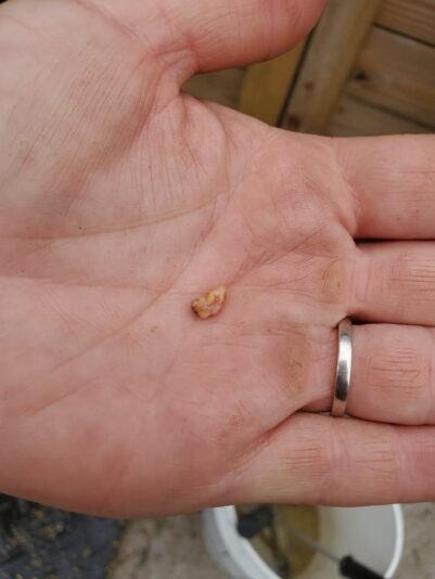 110336317_173998567458854_5890696690494258590_n