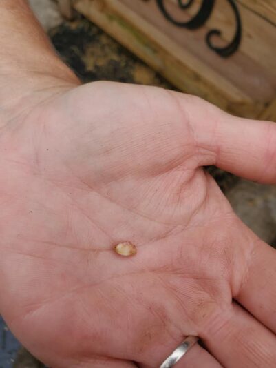 110562118_173998550792189_7508710938376419646_n