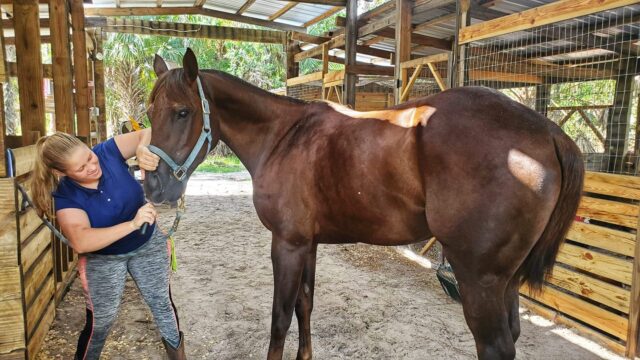 119194422_187131682812209_7136491396369125327_o