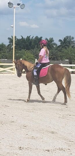 66128511_2266801573375475_8645313359148744704_o