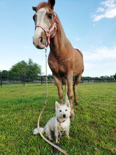 91933724_2818641234858170_1163529970748751872_n