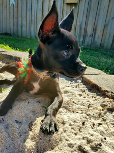 131766063_3500925333296420_897279658586549981_n