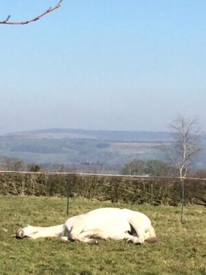 coping with isolation IMG_0293