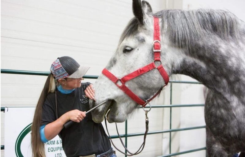 PSFix_20190531_012748