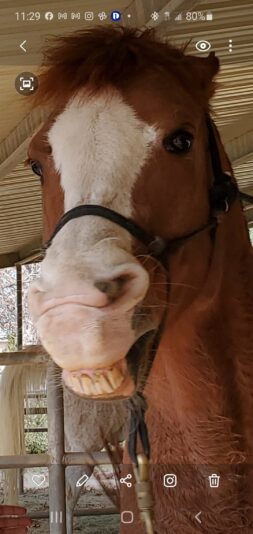 Screenshot_20201201-112935_Gallery (1)