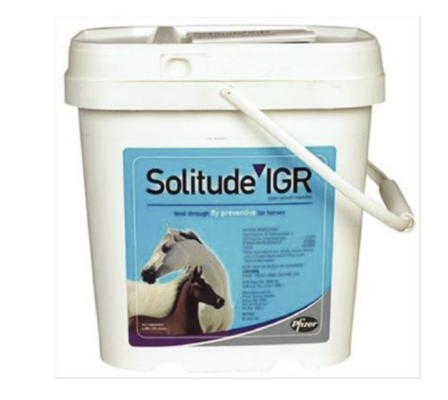 Screen Shot 2021-03-12 at 1.54.14 PM