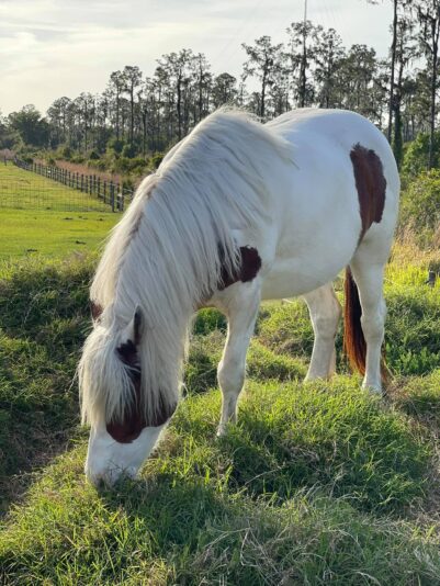 161185506_10157596391012471_8317960479485680497_o