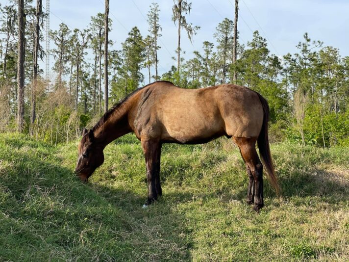 161642305_10157596390672471_7948452957732068225_o