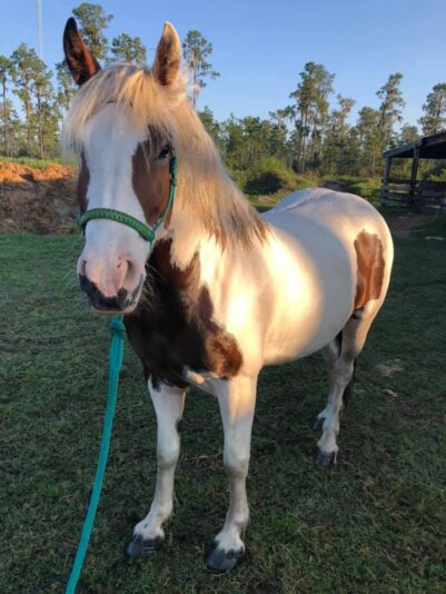 121477287_10157260129697471_9088101258006518509_n