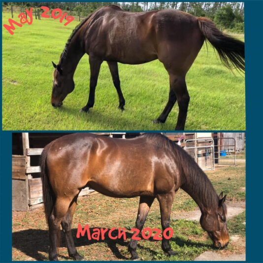 91076847_10156719304027471_7155806073692094464_n