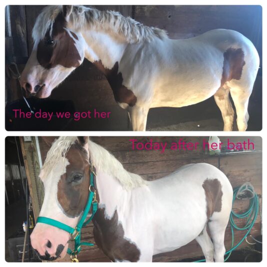 98335820_10156904816792471_2870649878860529664_n