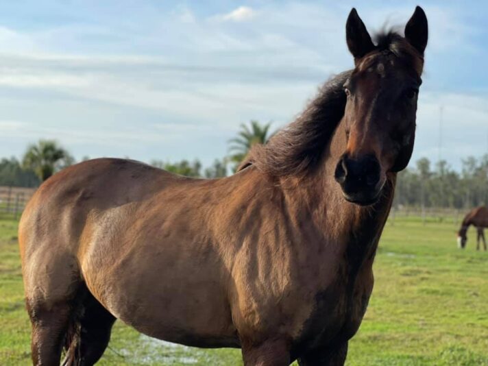 150366391_10157532845077471_9210239549975021448_n