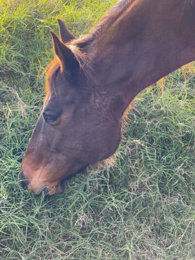 161060951_10157596390887471_2315206324621677647_o