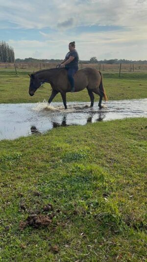 150159830_10157532845932471_658541665287738293_n