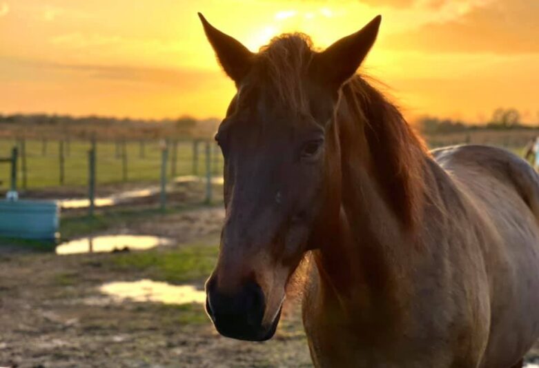 147368632_10157517022942471_8316011510505372569_n