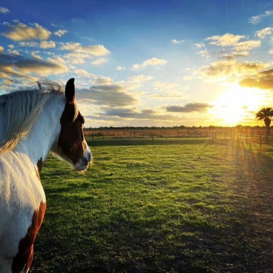 160947606_10157606216207471_5266469207368615723_n