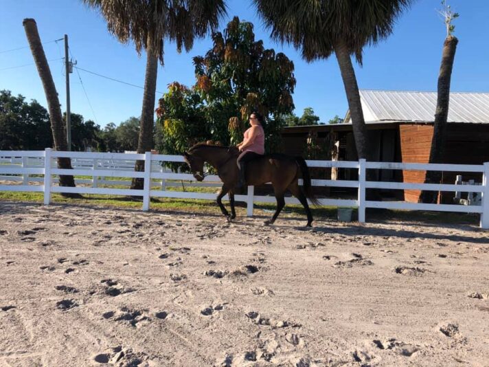 94883234_10156841743577471_2938837673005023232_n