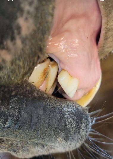 Screenshot_20210324-131828_Video Player