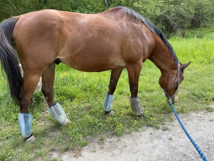 0CBB0145-2C8E-4873-B286-9EAE3EC00D65