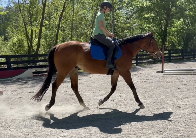 5C30EDC0-8E20-4C48-8464-2E5970EFD8A7