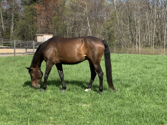 EEC9F1B7-6E56-4EF6-AD61-80C98730EA05