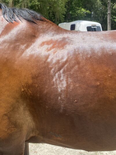 8CA00E07-94DB-4448-B390-912C3C7B5BA6