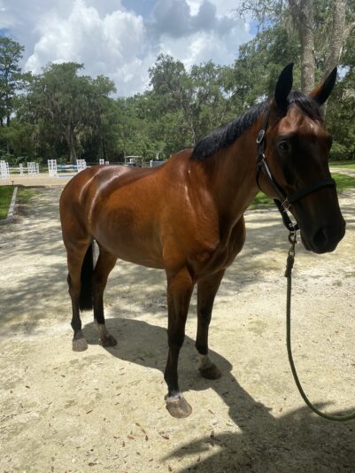 F549EA88-22BD-4FD9-8EA4-CA8C64A3D8F4